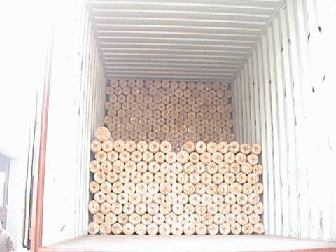 Welded Wire Mesh